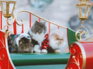 TV ad spend lifts in Santa rally