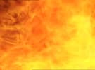 Seven puts up $10 million for bushfire relief 