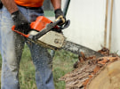 Dentsu takes a chainsaw to international jobs