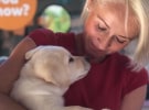 Guide Dogs Australia puts its trust in The Royals  