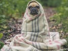 Chilly commercials heat sales