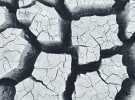 A 'fickle' and 'fragile' advertising market