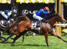 Melbourne Cup TV ratings up slightly, as streaming skyrockets 