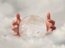 Long Read - Yellow brick road or dead cat bounce?