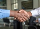 WeThinkMedia appointed Programmatic Bureau NZ's Australian sales representative