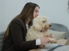 Better Workplaces - D3's Auckland industrial workshop