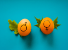 Advertising industry's gender pay gap persistent but narrowing 