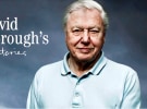 David Attenborough on the importance of human eyebrows for communication
