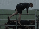 Devondale gets the suits dirty