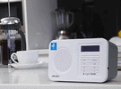 Appetite for digital radio pushes industry to eye sales