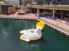 TikTok invites Australians to celebrate summer 