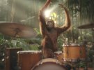 Darrell Lea follows ‘No Worries, Jan’ with a Cadbury-style primate ad