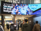 Unltd's Going blue on Do It For Dolly Day