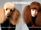 New market entry THEANIMALS partners with Baker Brand