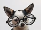 Ad viewability in Australia is 10% higher than the US