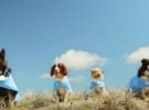 Bupa calls review – plans to consolidate creative and media