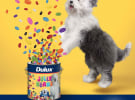 DuluxGroup media account up for pitch