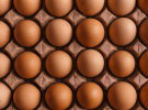 Connecting Plots wins Australian Eggs pitch