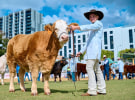 BFJ Digital to lead Ekka digital strategy