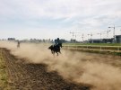 Ad Standards warns betting advertisers