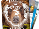 ACM adds travel magazine to portfolio