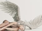 The ad spend canary's wings have hit heavy air