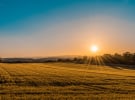‘On the Farm' digital TV network launches 