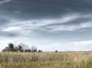 Why localised strategy hits harder