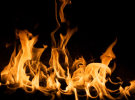 Omnicom is running at AI like its ‘hair is on fire’
