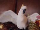 Foxtel uses a cockatoo to launch voice control 