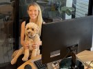 The WFH Diaries - Gemma Watkins at JCDecaux
