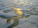 The Climate Games: The advertising industry pressured from all directions