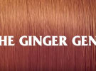 'Disgraceful' CUB ad banned for discrimination against rangas
