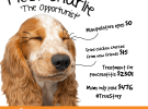 GapOnly unveils 'True Story' following post-pandemic boom in pet ownership