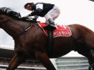 Brands get in on the Melbourne Cup action