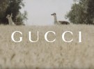 Gucci signs up to The Lion's Share