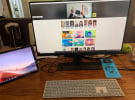 The WFH Diaries - 1000heads on the good, bad and the strange