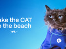 Transperth ‘CAT Bus Service’ via Moonsail