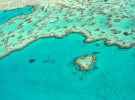 Unique media executions in Tourism Whitsundays campaign via Wavemaker