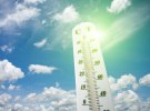 Pollinate: Australians more concerned about the planet than themselves