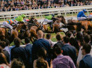 Thinkerbell wins Melbourne Racing Club media account