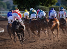 Tabcorp's change in advertising strategy will hit TV