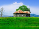 Pandemic Habits - Australia's conversation about property prices has changed 