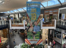 I'm A Celebrity marketing campaign drives viewership for first two episodes