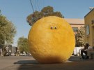 A giant yellow ball called Larry drives IAG's new insurance brand