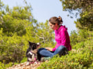 Zenith retains MSD Animal Health account