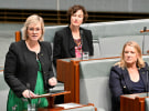 Zali Steggall's bill to 'stop lies in political advertising'