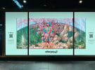 Amplify's latest work transforms David Jones' windows into a virtual garden for Afterpay