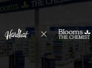 Hardhat wins creative duties pitch for Blooms The Chemist 