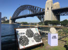 Volvo to save Sydney Harbour in brand sustainability mission